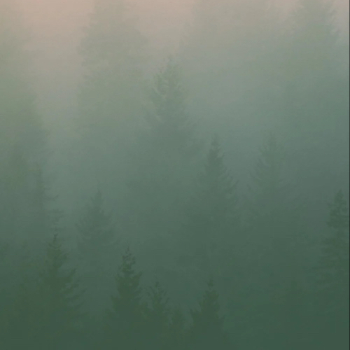 《山河表里》priest 