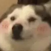 哈哈哈哈哈哈哈