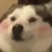 哈哈哈哈哈哈哈