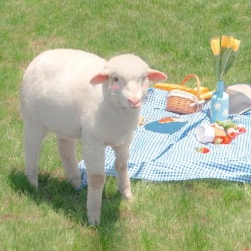 人间温柔与理想💙