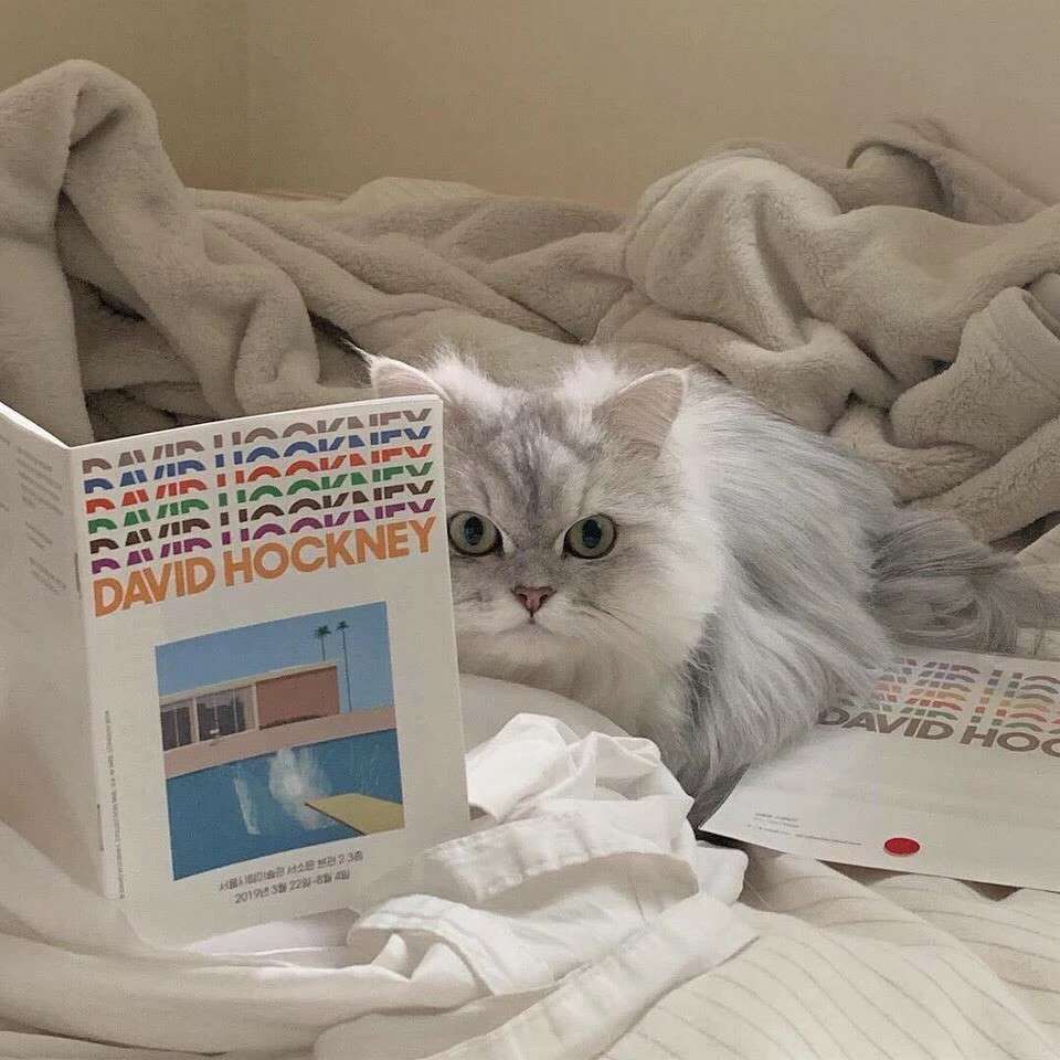 南宫绾乔的专辑