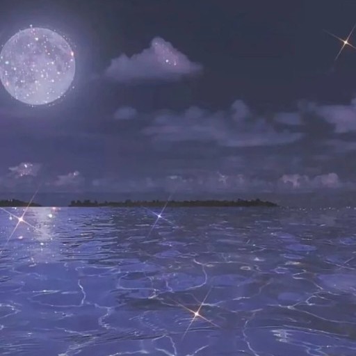 ꧁carin꧂的专辑