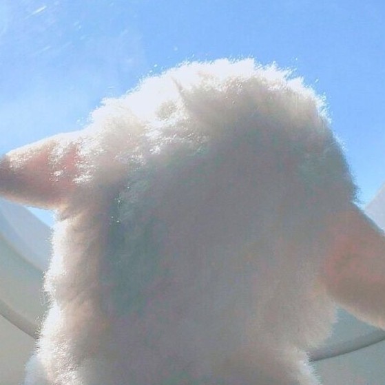 赵若溪美女的白羊契合