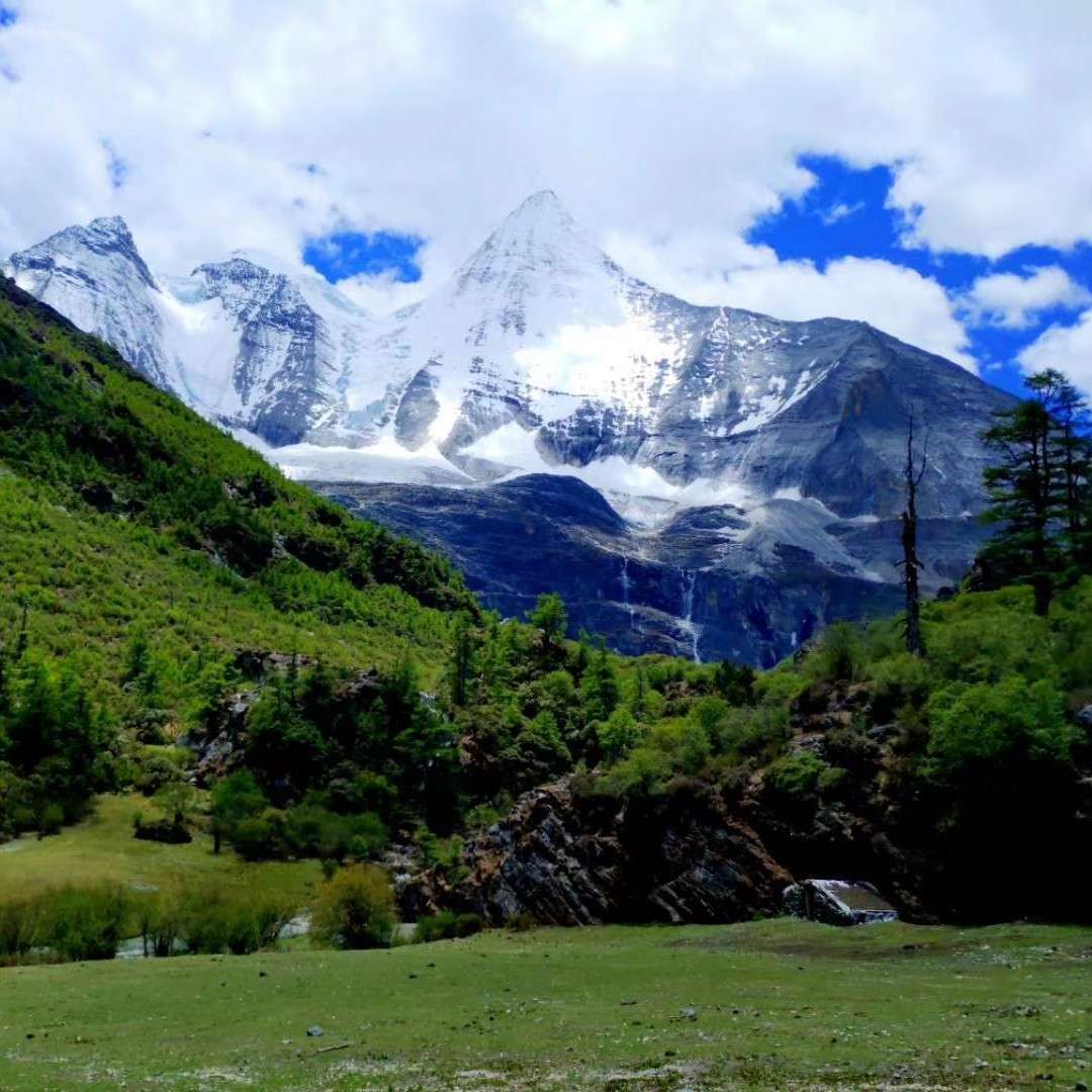 冷了夏天蓝了海的专辑