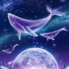 关于 月亮，夜 的文案