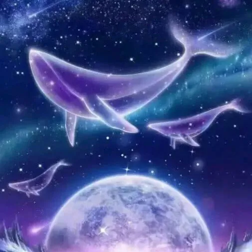关于 月亮，夜 的文案