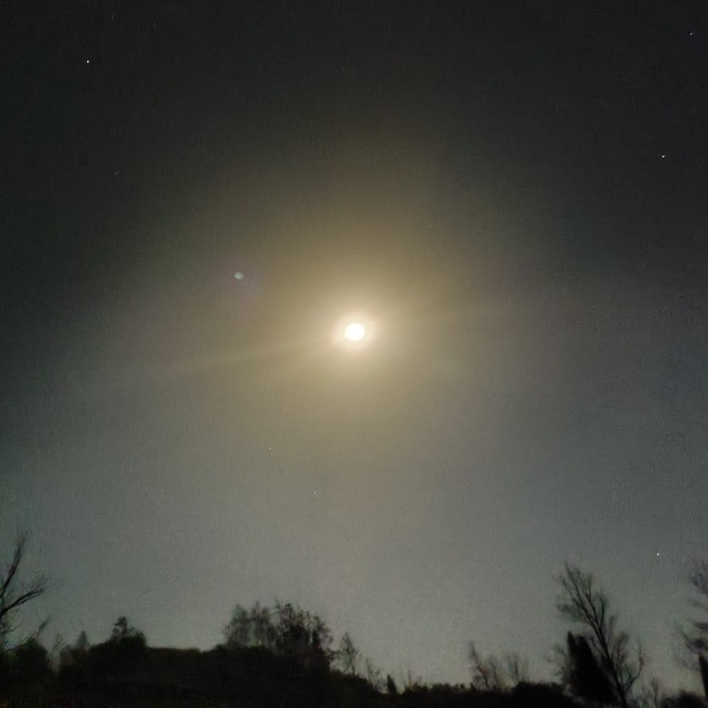 最喜欢的一句古诗