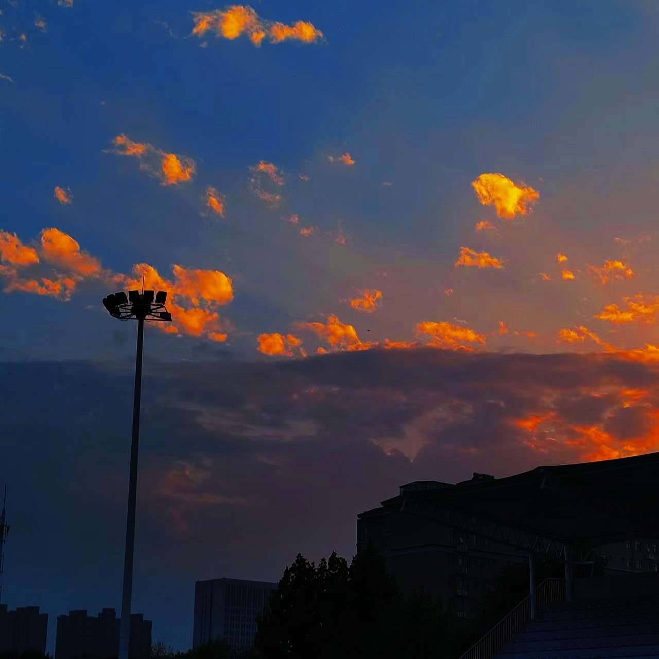 爱意随风起，汹涌澎湃