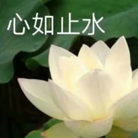 发疯文学