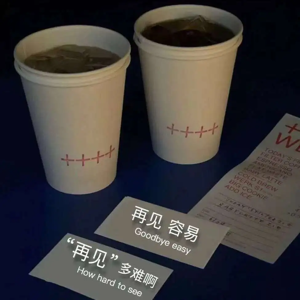 坠入星河的专辑