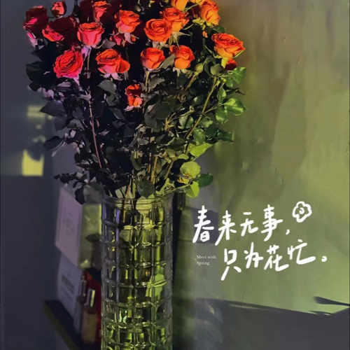 这一生……你我他