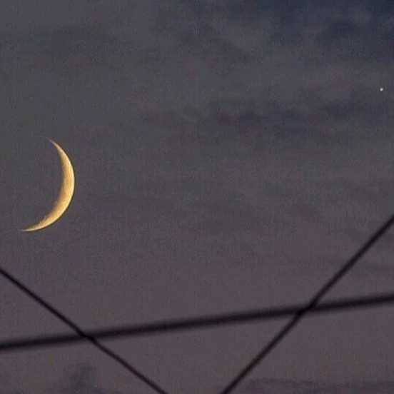 爱意不止月亮私藏