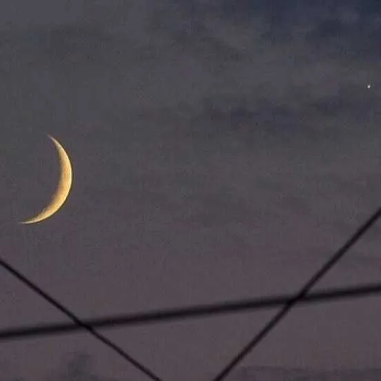 爱意不止月亮私藏