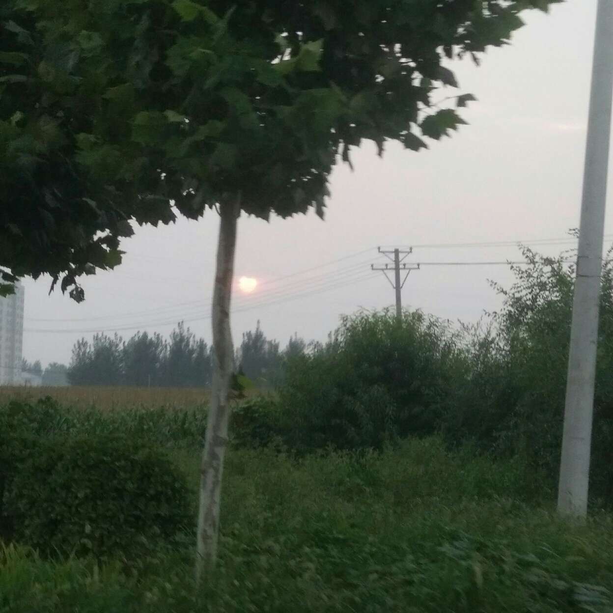 《余生有你，甜又暖》