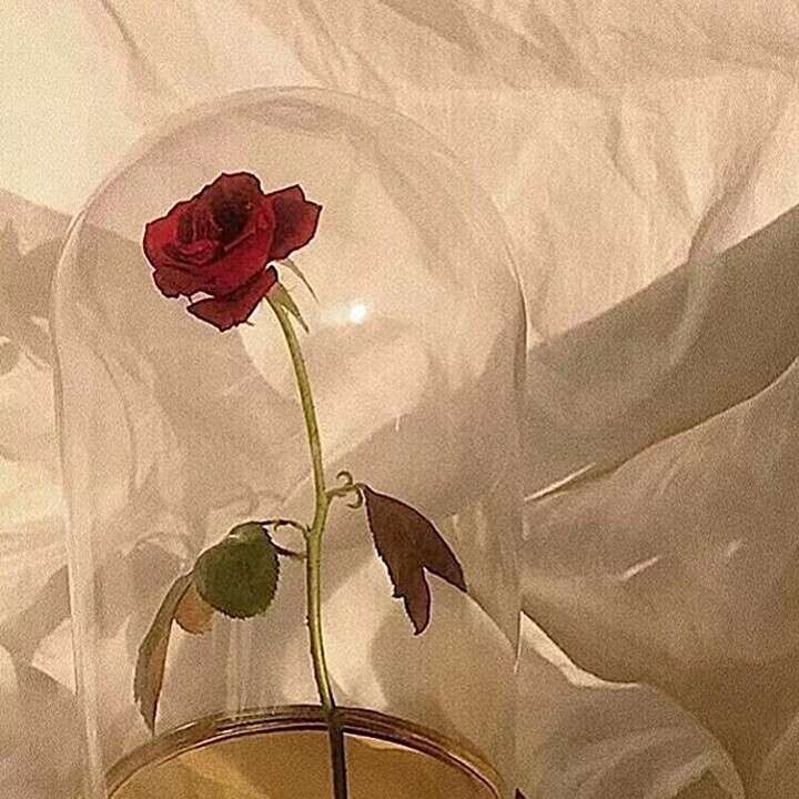 网易云电台の浪漫电台