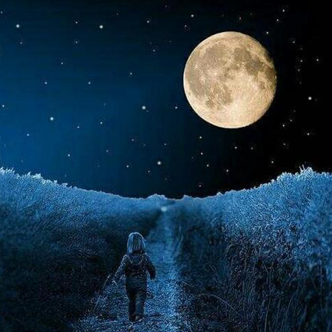 《月亮和六便士》