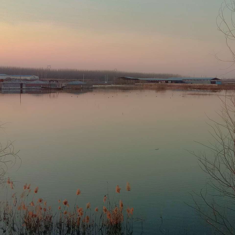 木槿星辰的专辑