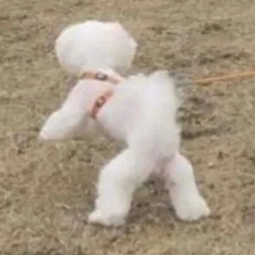 星座