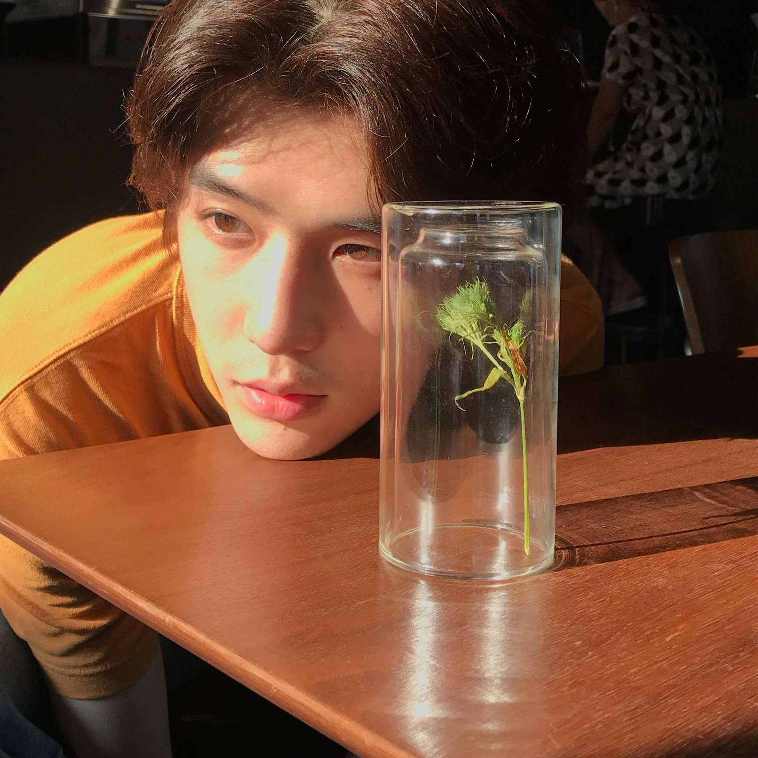 《画面》原创作品，使用请征得授权