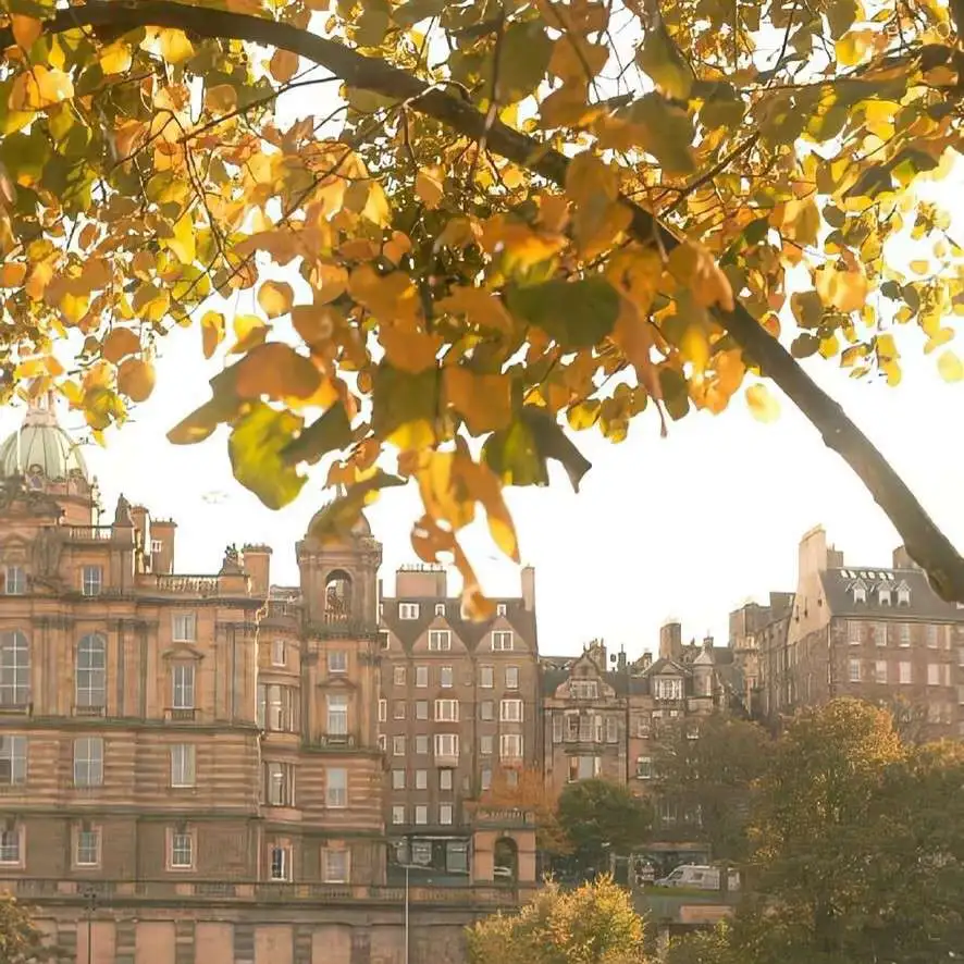 那些让人惊艳的歌词