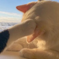 让你一见倾心的景物描写～