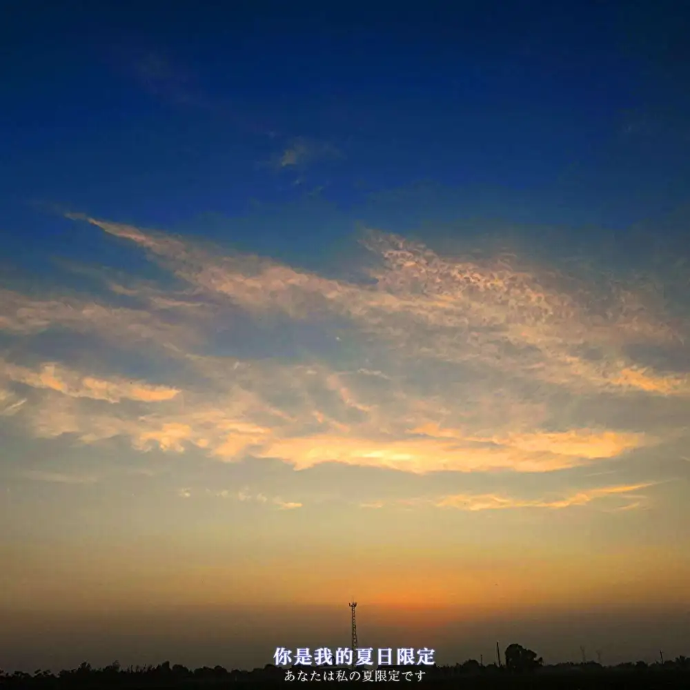 情感
