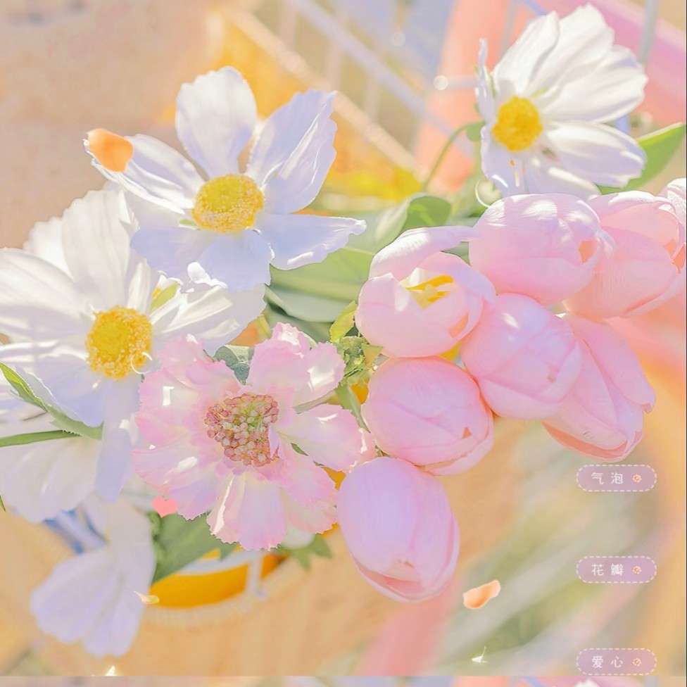 看一眼就充满希望的句子