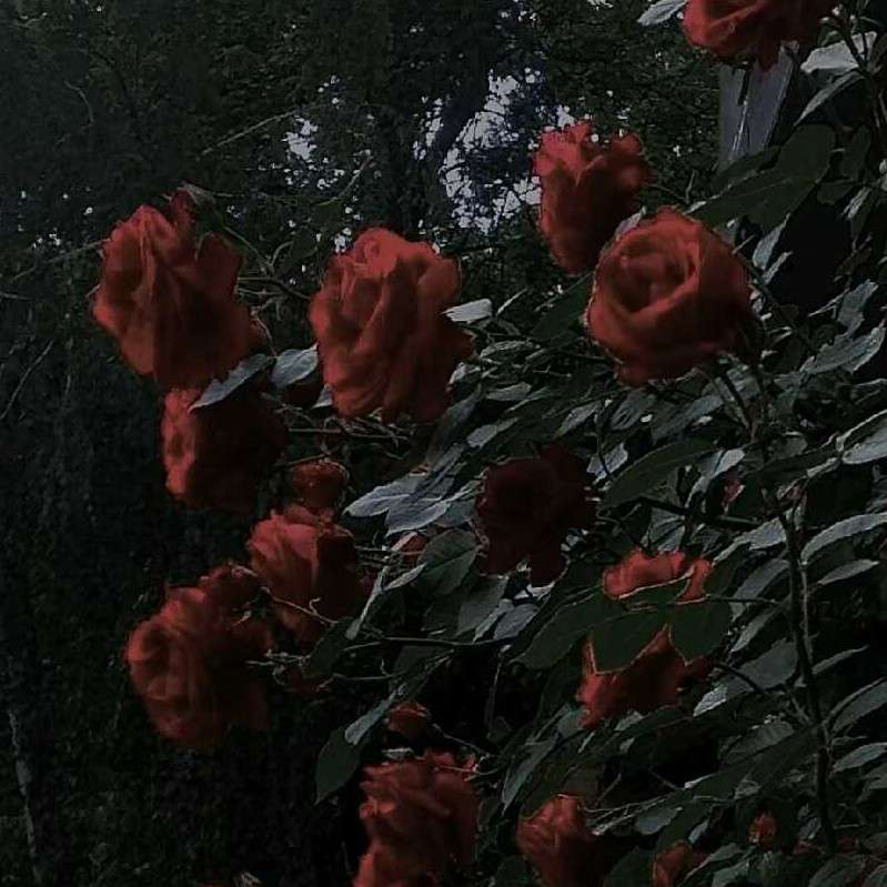 失望难过的句子