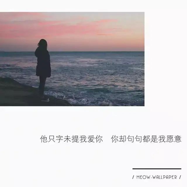 风华的专辑