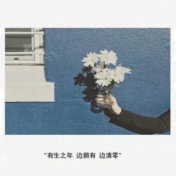 清风的专辑