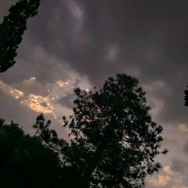 我等不到柳暗花明了