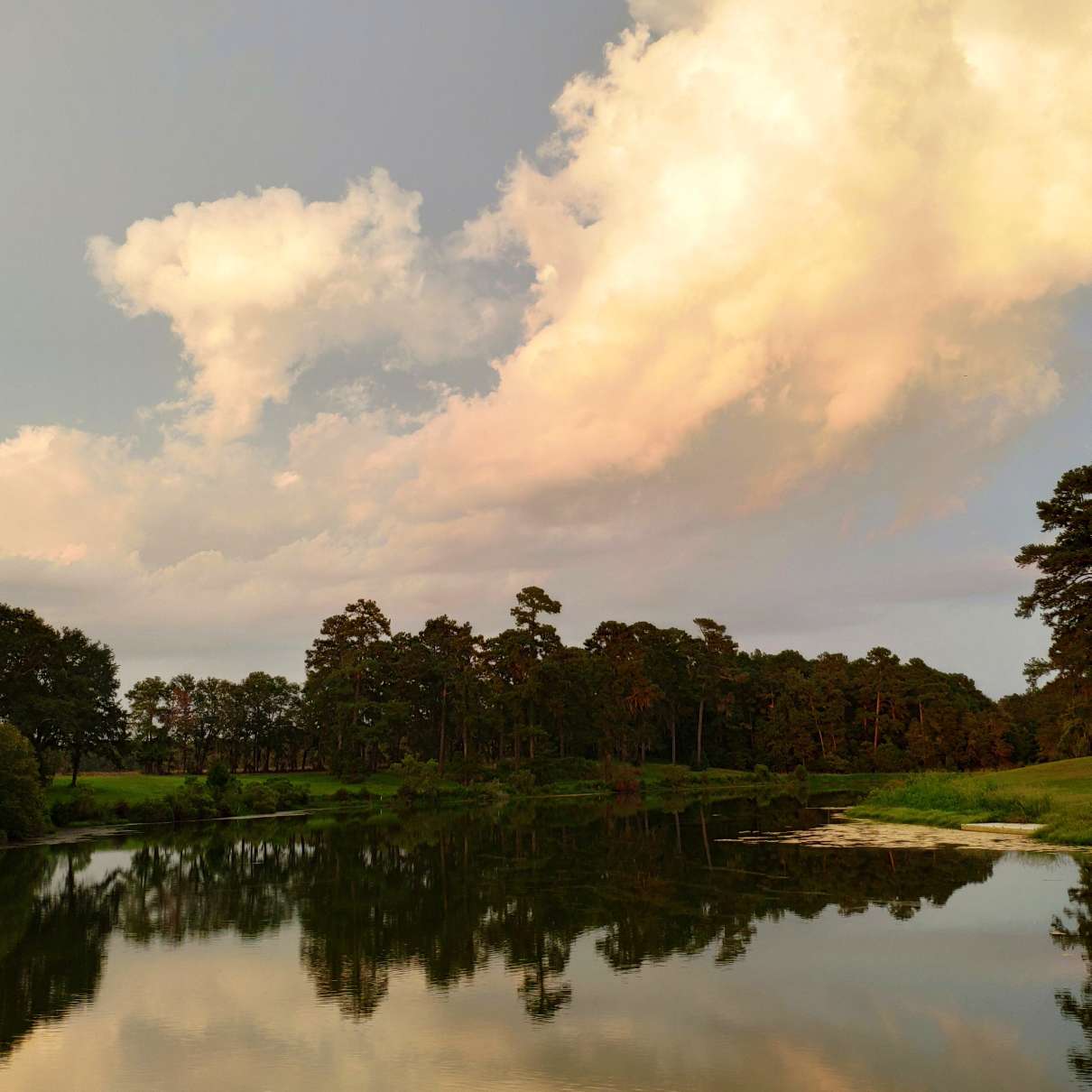 野渡无人舟自横