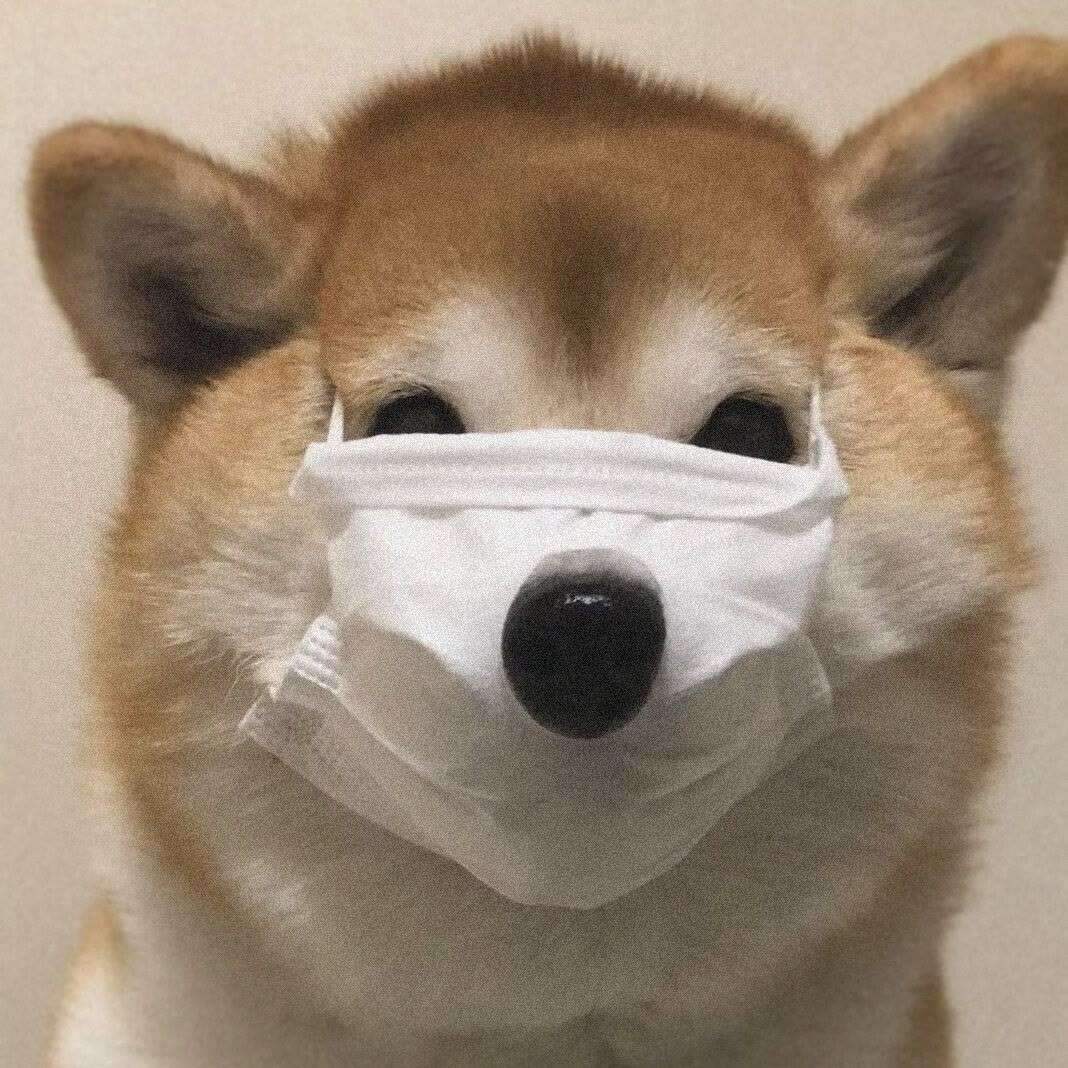 麦力乔天阕的专辑