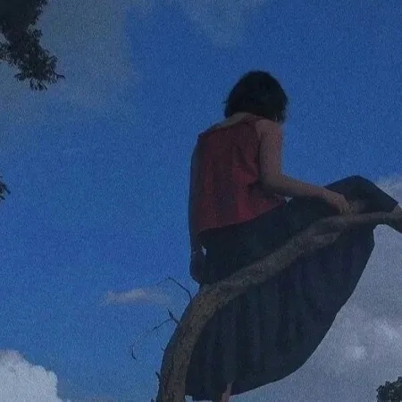 毛