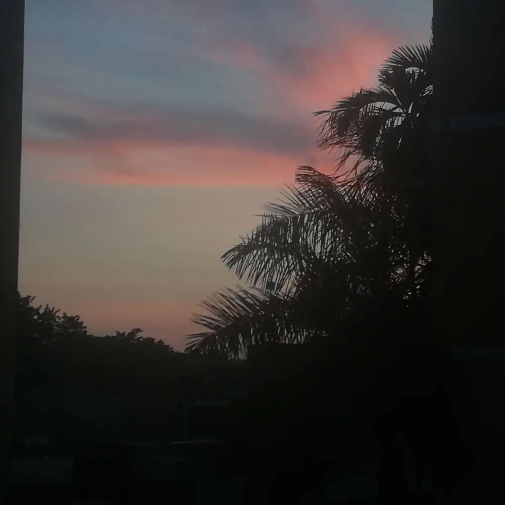 爱你的胆量