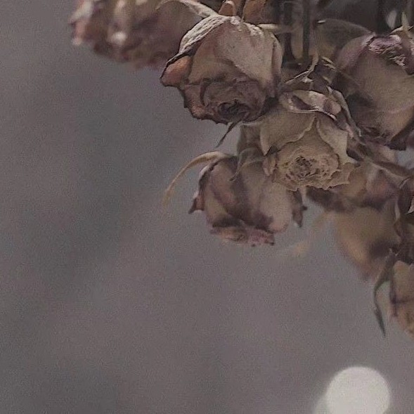 一杯没劲儿的专辑