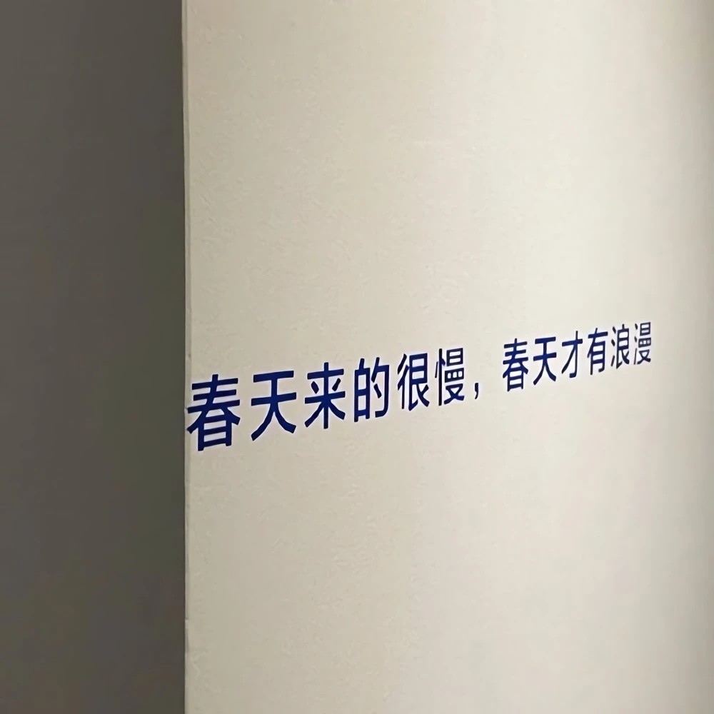 温柔浪漫的文案⸝⸝ ᷇࿀ ᷆⸝⸝