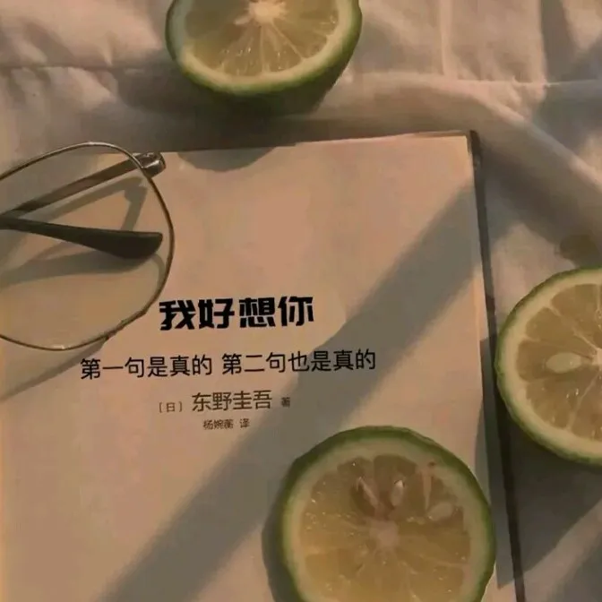 为你攒下的情话