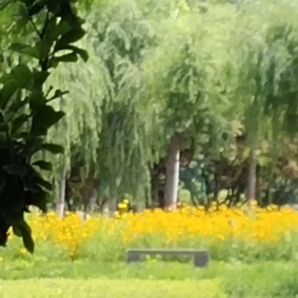 人间