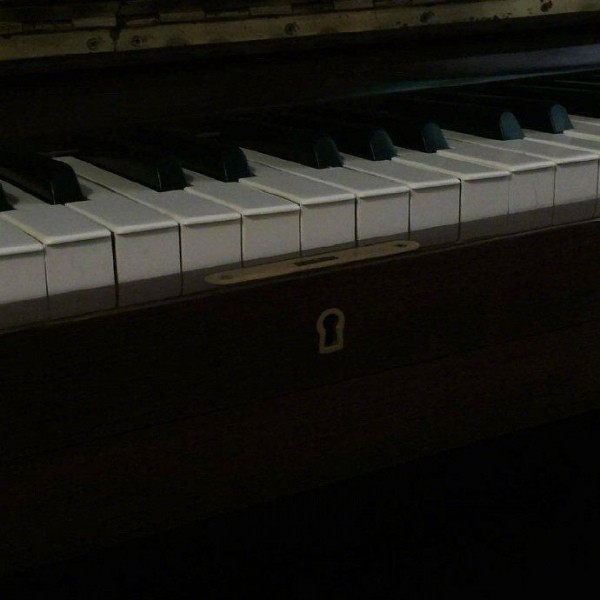 想养猫的猫先生的专辑