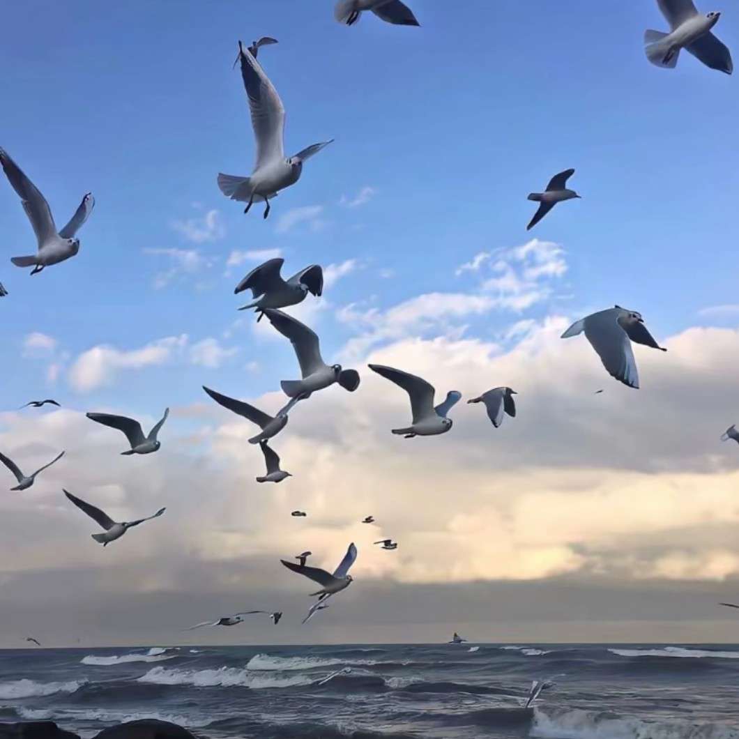 一些小众的名言句子