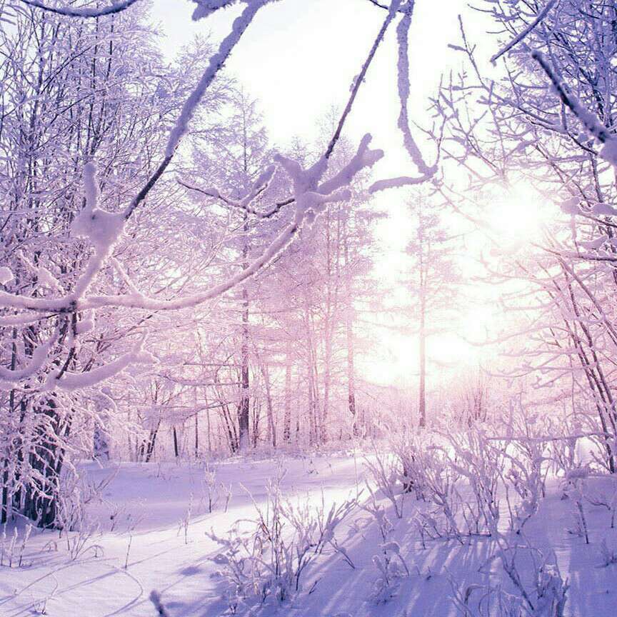 青春漫过星星夜