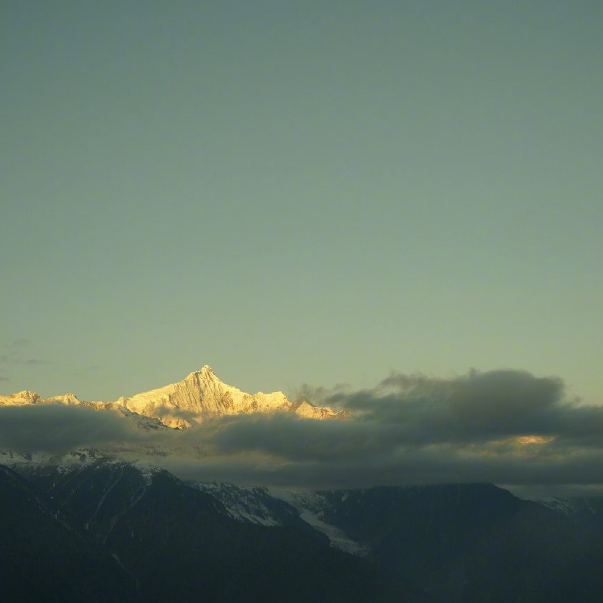 属于那些优秀的小可爱