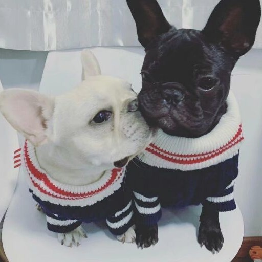 撒拉嘿哟的专辑