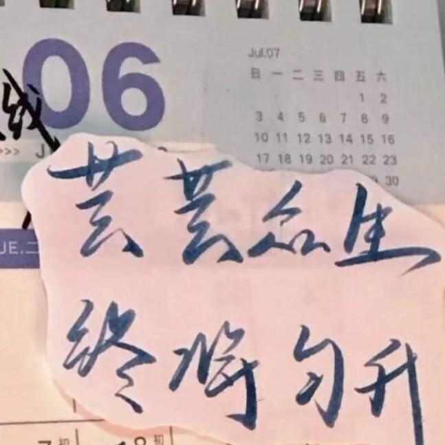 那就一起去山顶看看吧！