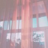 染尘《余》