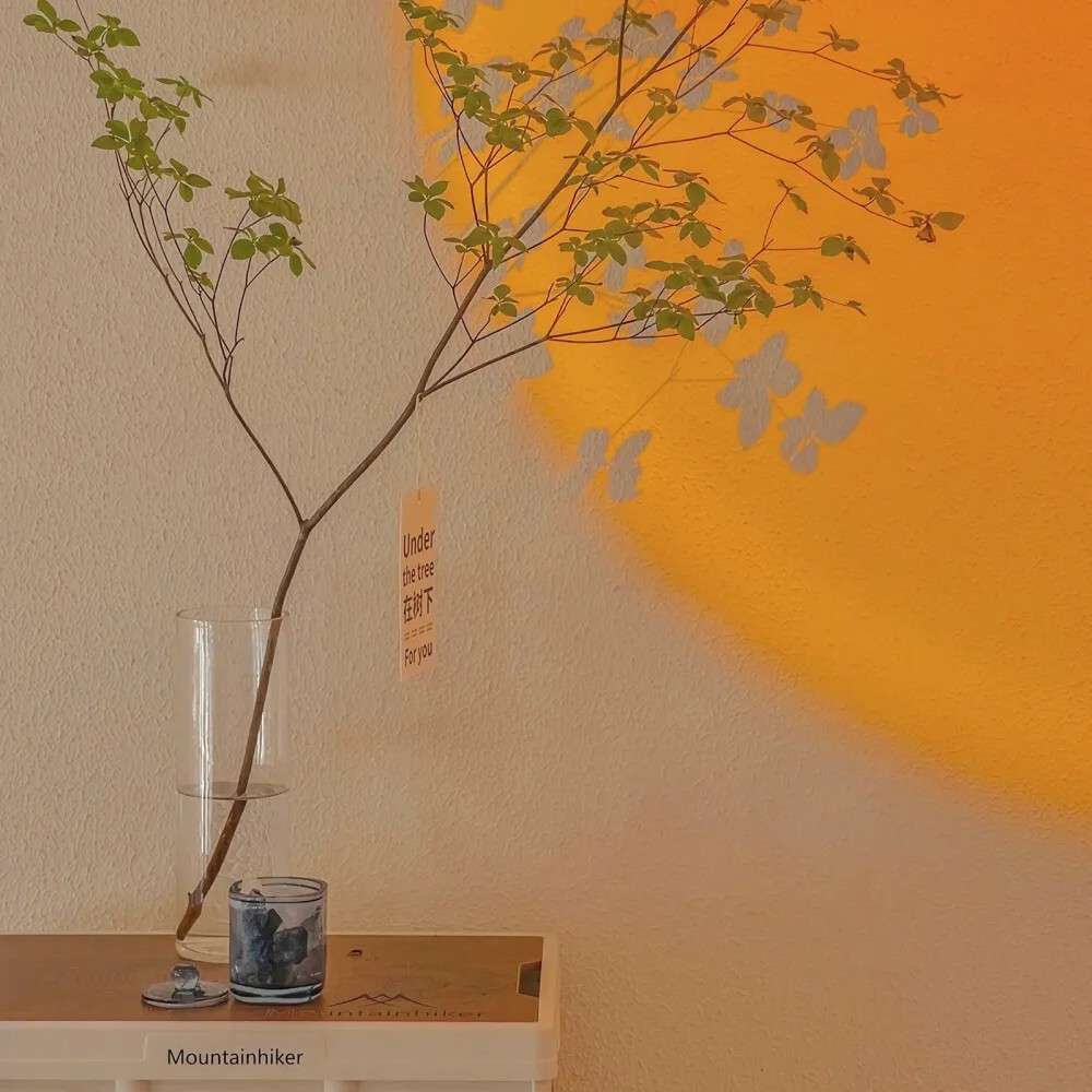 当我十八岁的时候.