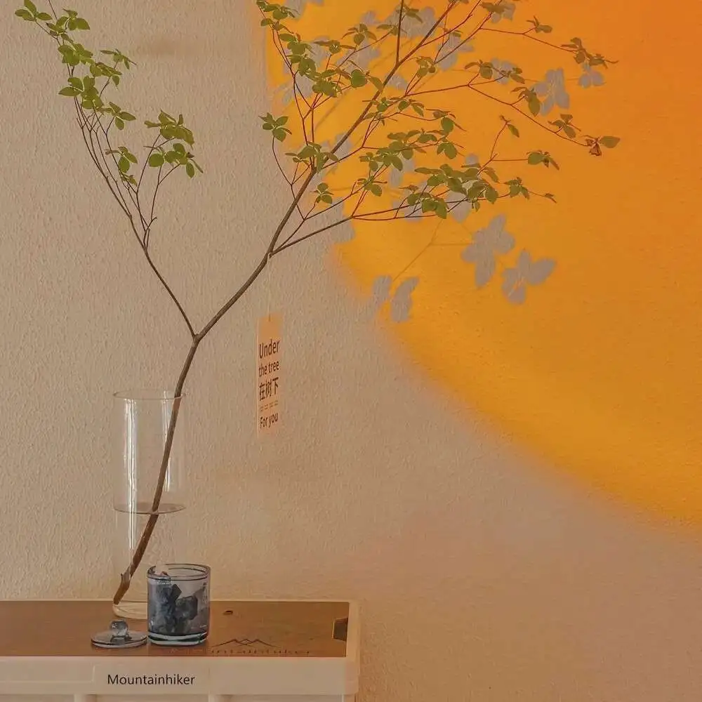 当我十八岁的时候.