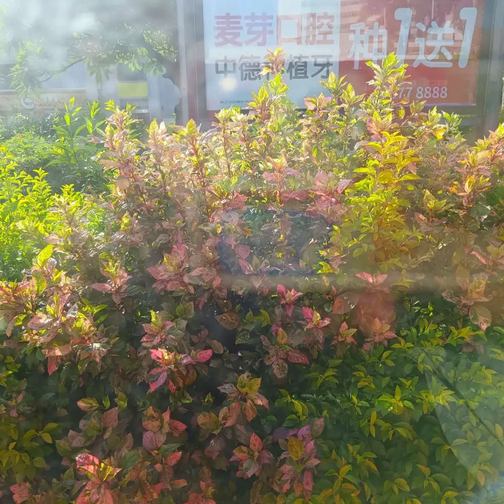 高考的分数并不能决定一切，决定一切的是你的选择