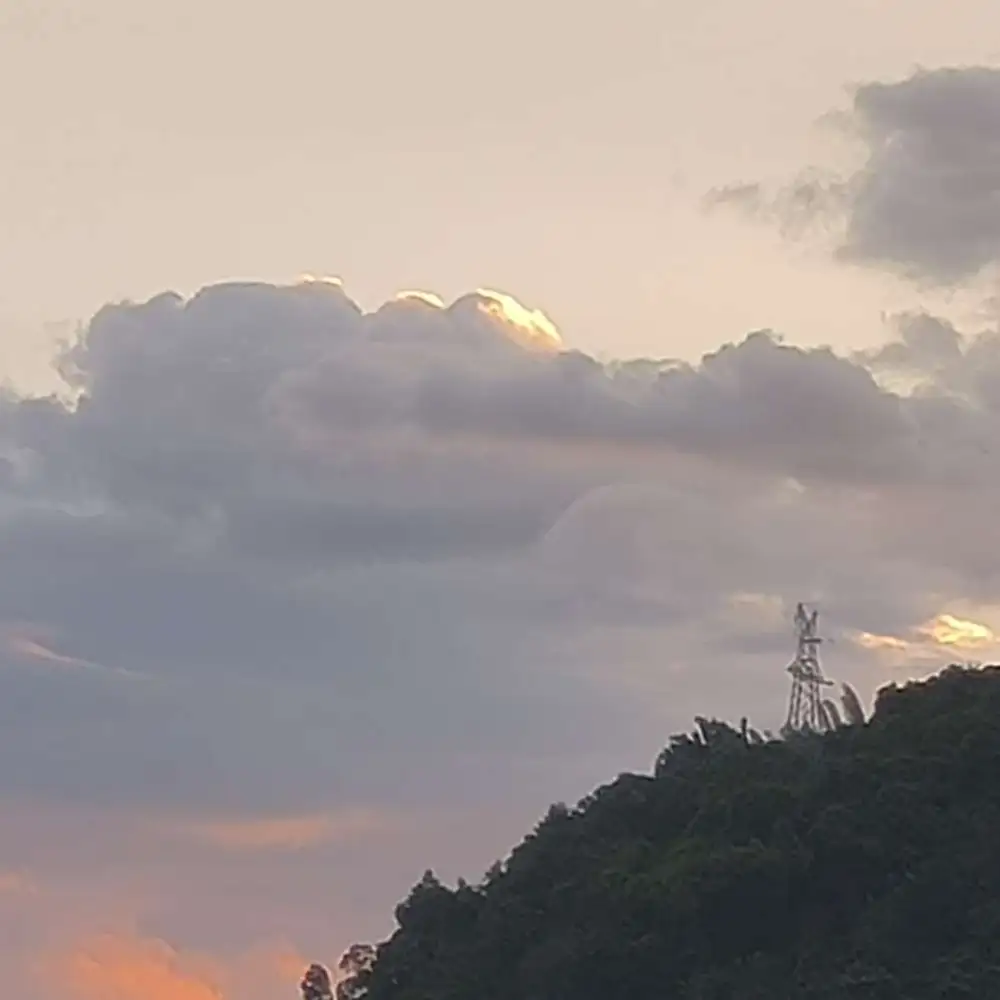 心之所喜